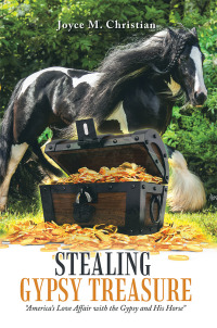 Cover image: Stealing Gypsy Treasure 9781532052408
