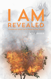 Imagen de portada: I Am Revealed 9781532053931