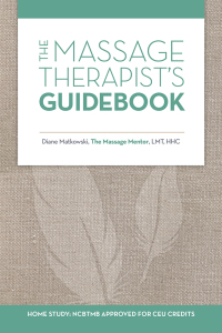 Omslagafbeelding: The Massage Therapist's Guidebook 9781532054143