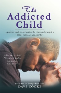 Cover image: The Addicted Child 9781532056413