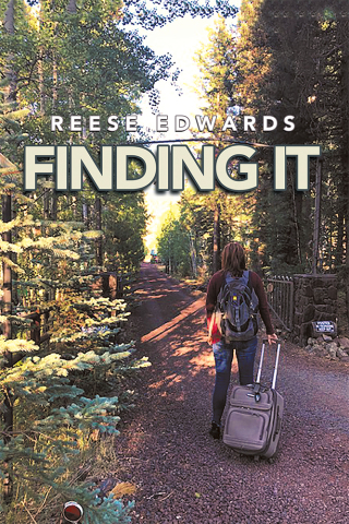 Cover image: Finding It 9781532057595