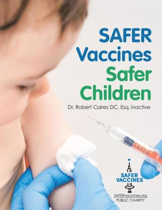 Imagen de portada: Safer Vaccines, Safer Children 9781532060984