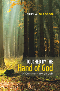 Cover image: Touched by the Hand of God 9781532062254