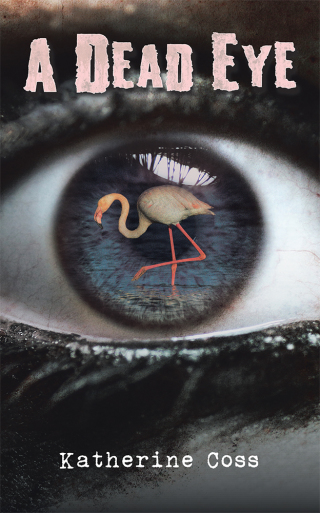 Imagen de portada: A Dead Eye 9781532063053