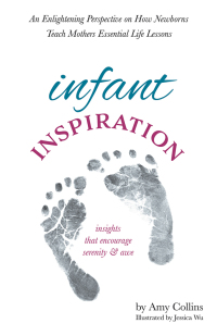 Cover image: Infant Inspiration 9781532065477
