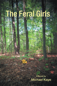 Cover image: The Feral Girls 9781532066504