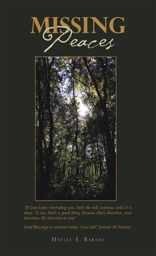 Imagen de portada: Missing Peaces 9781532068591