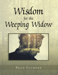 Cover image: Wisdom for the Weeping Widow 9781532069024