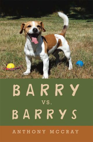 Cover image: Barry Vs. Barrys 9781532070938