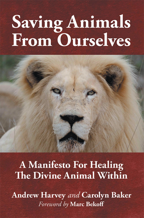 Saving Animals from Ourselves: A Manifesto for Healing the Divine Animal Within - FULL INSTANT DOWNLOAD | PDF DOCX EPUB
