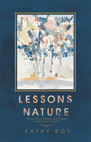 Cover image: Lessons from Nature 9781532074721