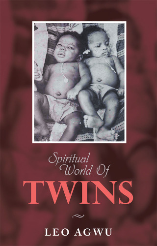 Titelbild: Spiritual World of Twins 9781532074806