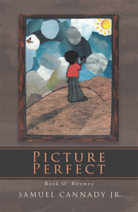 Cover image: Picture Perfect 9781532078002