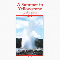 Cover image: A Summer in Yellowstone 9781532080074