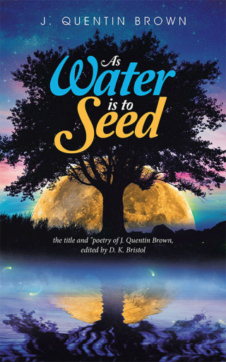 Cover image: As Water Is to Seed 9781532083747