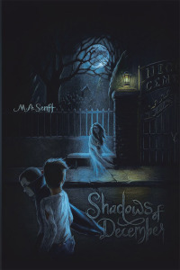 Imagen de portada: Shadows of December 9781532084225