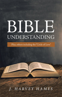 Cover image: Bible Understanding 9781532089244