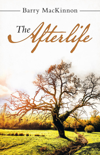 Cover image: The Afterlife 9781532091032