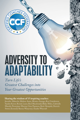 Cover image: Adversity to Adaptability 9781532095948