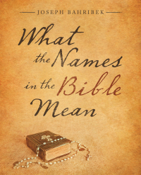 Cover image: What the Names in the Bible Mean 9781532099243