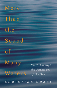 Imagen de portada: More Than the Sound of Many Waters 9781532602351