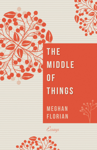 Imagen de portada: The Middle of Things 9781532607158