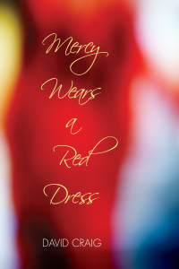 表紙画像: Mercy Wears a Red Dress 9781532608032