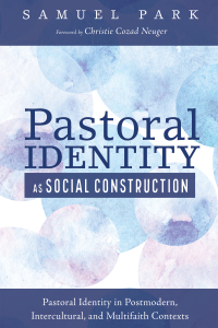 Titelbild: Pastoral Identity as Social Construction 9781610975070