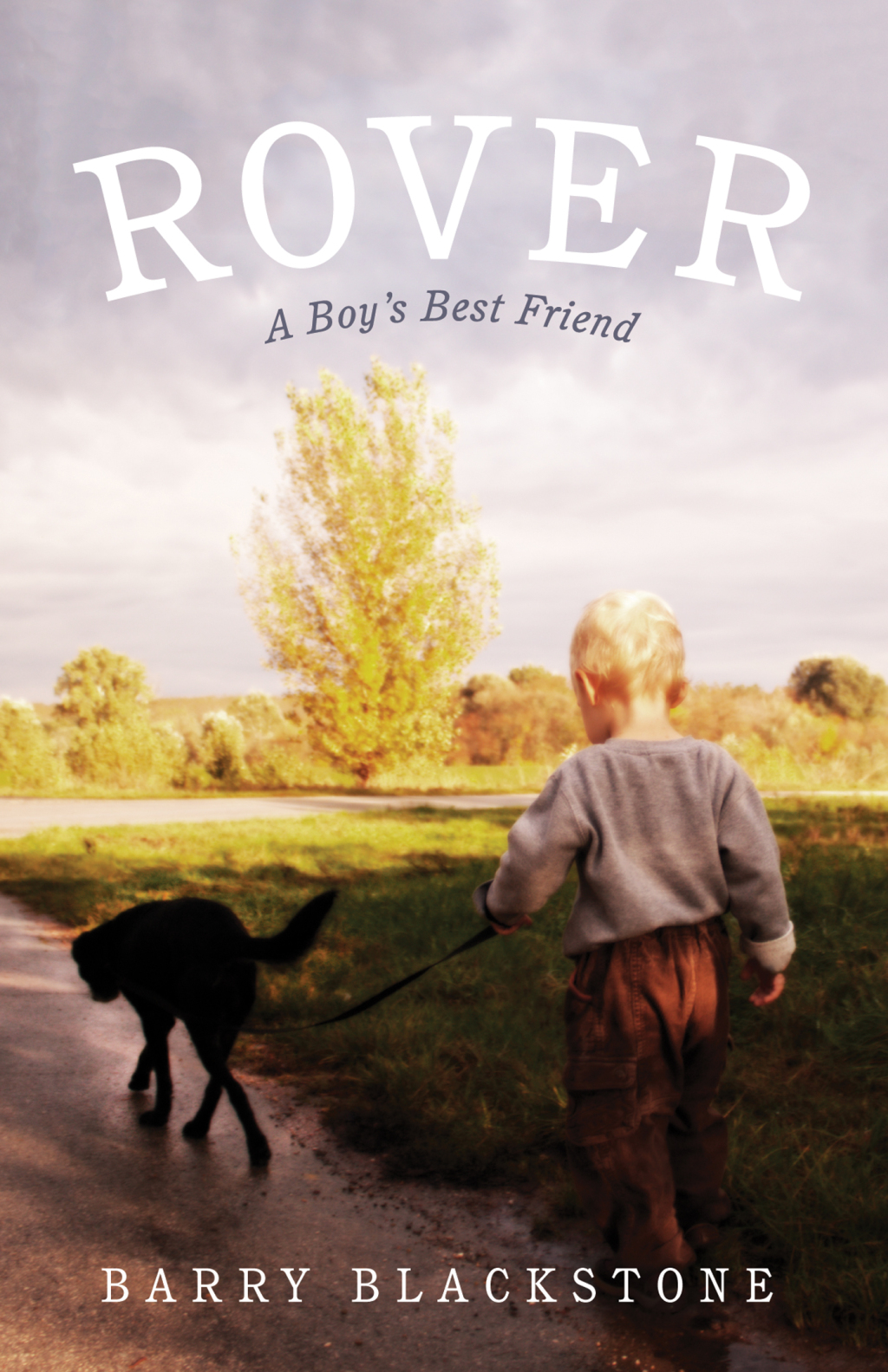 Rover eBook