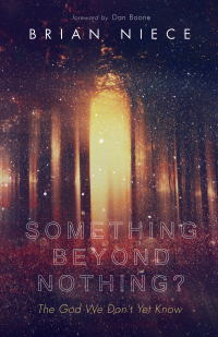 صورة الغلاف: Something Beyond Nothing? 9781532635861