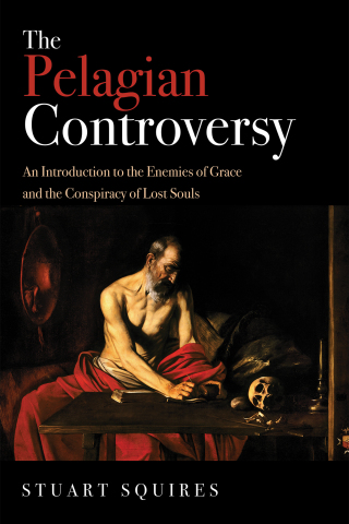Cover image: The Pelagian Controversy 9781532637810