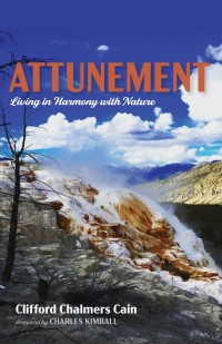 Cover image: Attunement 9781532641015