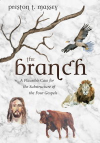 Imagen de portada: The Branch 9781532642777