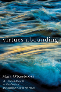 Imagen de portada: Virtues Abounding 9781532644184