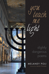 Titelbild: You Teach Me Light 9781532647727
