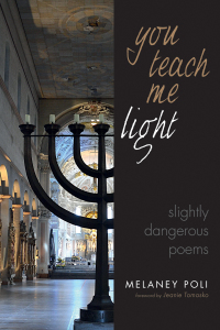 表紙画像: You Teach Me Light 9781532647727