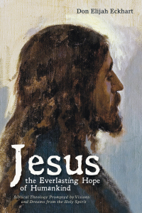 Cover image: Jesus the Everlasting Hope of Humankind 9781532648021