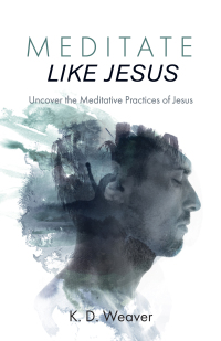 Cover image: Meditate Like Jesus 9781532648496