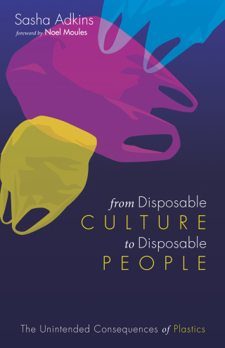 Imagen de portada: From Disposable Culture to Disposable People 9781532649905