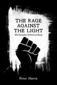Titelbild: The Rage Against the Light 9781532651977