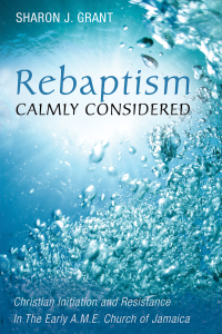 Cover image: Rebaptism Calmly Considered 9781532652998
