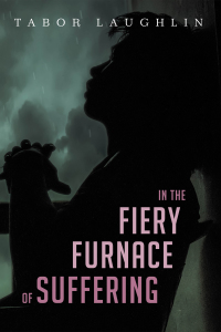 Cover image: In the Fiery Furnace of Suffering 9781532654107