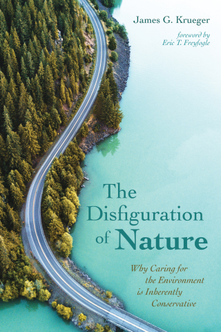 Cover image: The Disfiguration of Nature 9781532654800