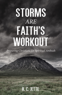 Omslagafbeelding: Storms Are Faith’s Workout 9781532664595