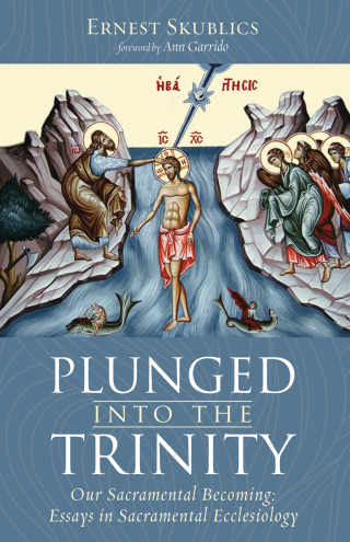 表紙画像: Plunged into the Trinity 9781532666094