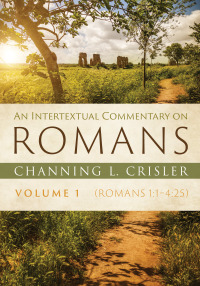 Omslagafbeelding: An Intertextual Commentary on Romans, Volume 1 9781532668098