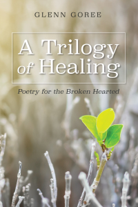 Cover image: A Trilogy of Healing 9781532668555