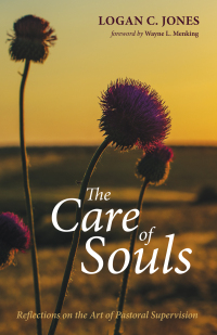 Titelbild: The Care of Souls 9781532673047
