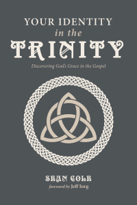 Imagen de portada: Your Identity in the Trinity 9781532673856