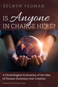 Titelbild: Is Anyone in Charge Here? 9781532674891